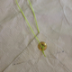 Image for article titled How To Make Your Own Tent Footprint For $25